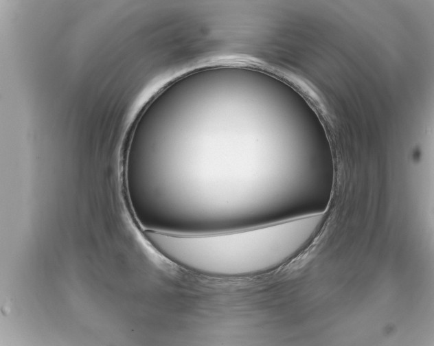 X0000094171430200710260859
