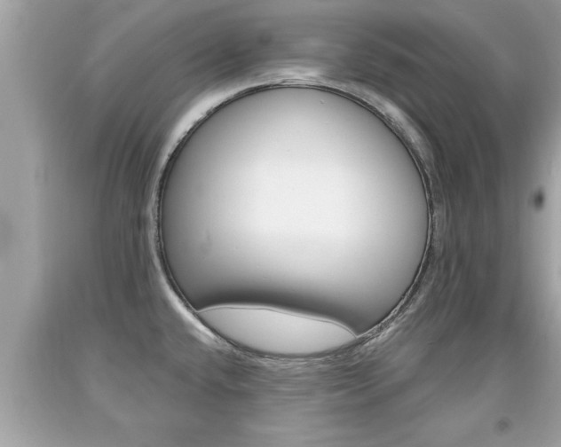 X0000094171432200710260859