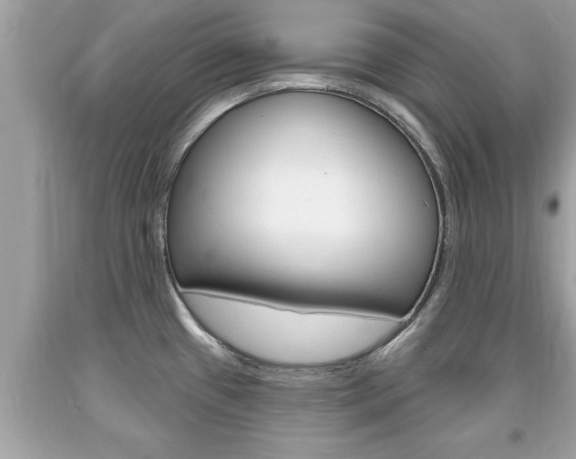 X0000094171433200710260859