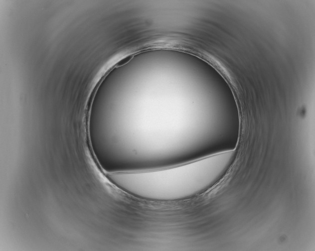 X0000094171434200710260859