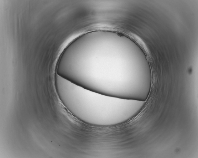 X0000094171435200710260859