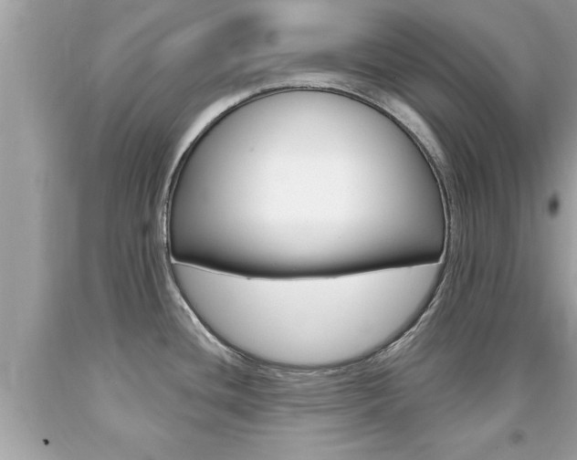 X0000094171436200710260859