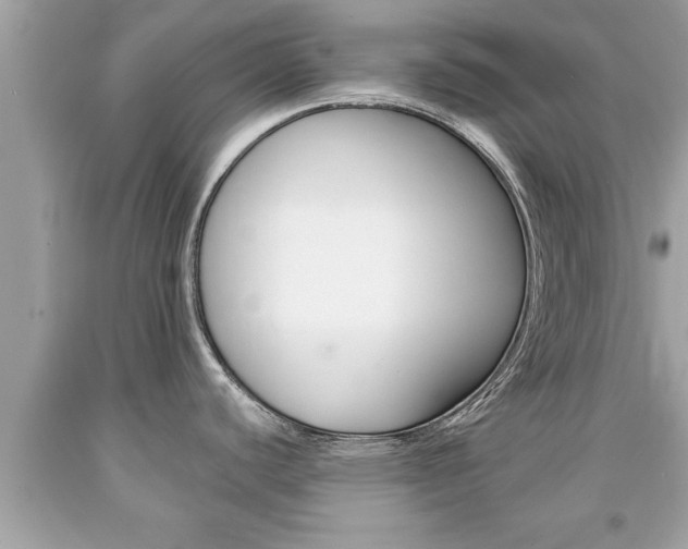 X0000094171440200710260859