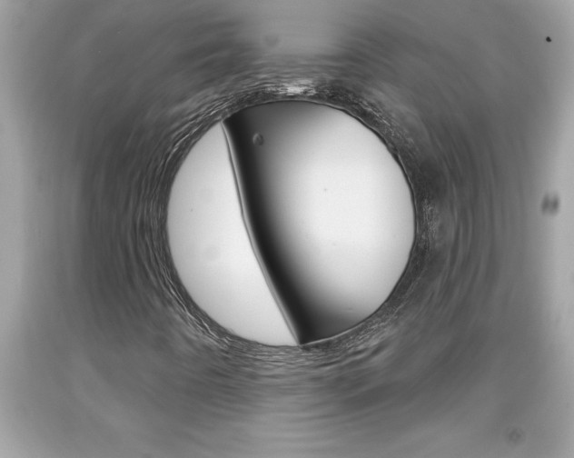 X0000094171442200710260858