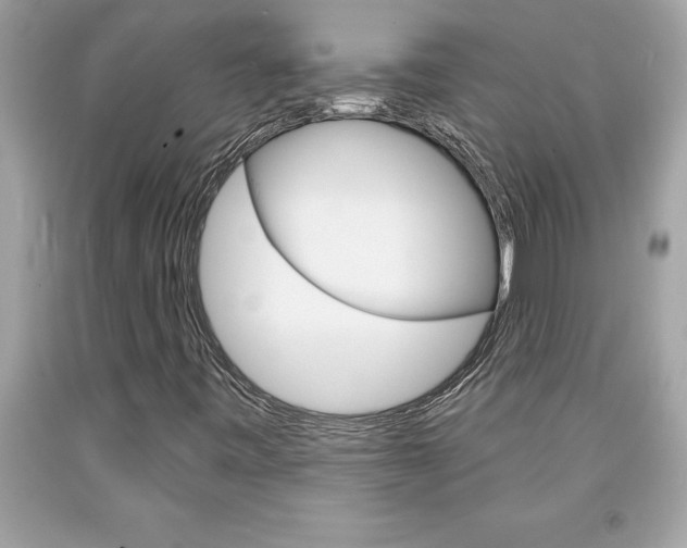 X0000094171443200710260858