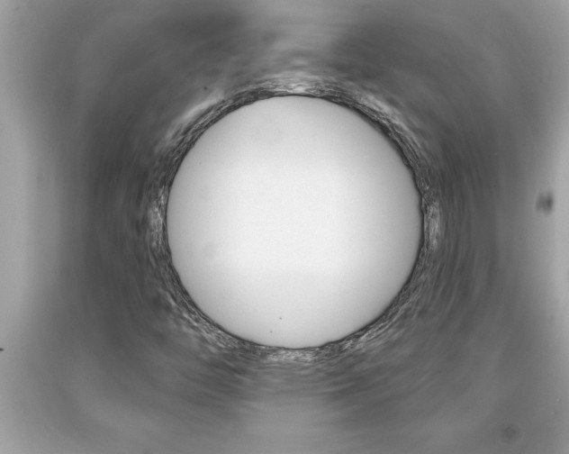 X0000094171446200710260858