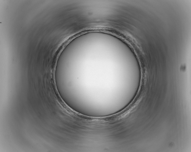 X0000094171449200710260858