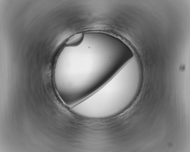 X0000094171450200710260858