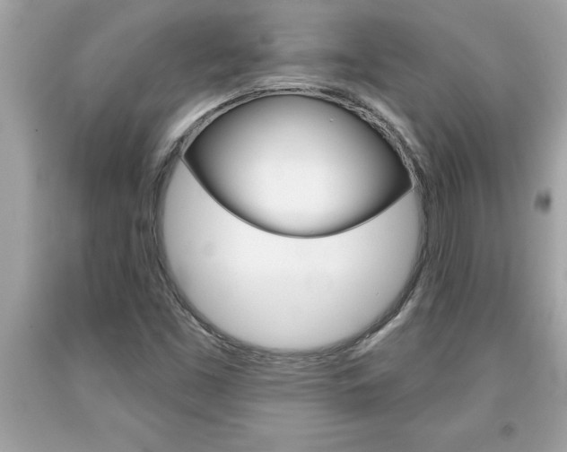X0000094171453200710260858