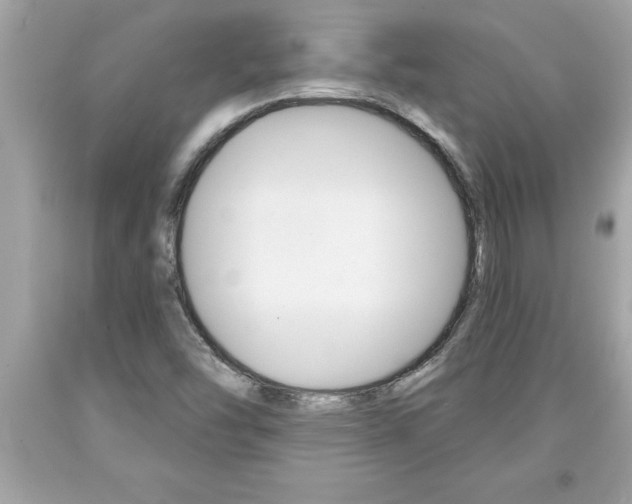 X0000094171454200710260858