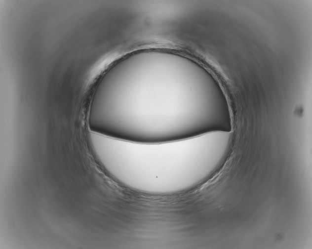 X0000094171455200710260858