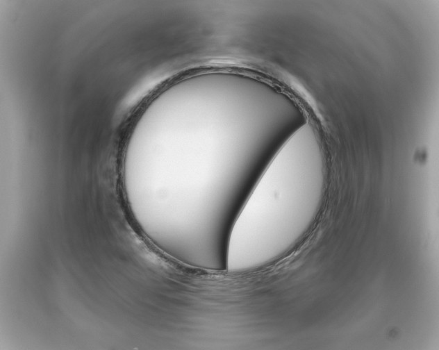 X0000094171456200710260858