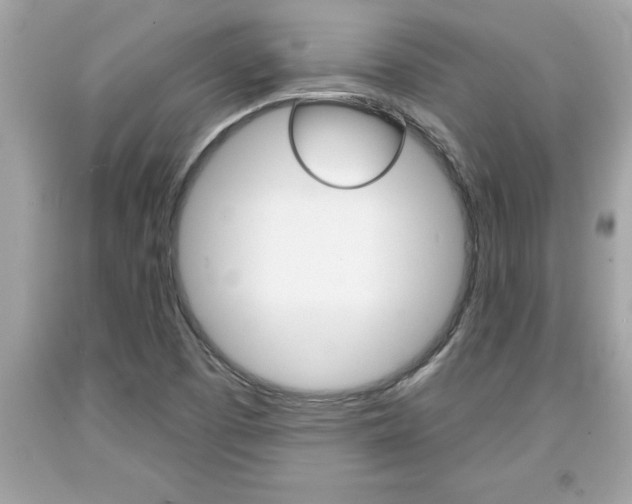 X0000094171457200710260858