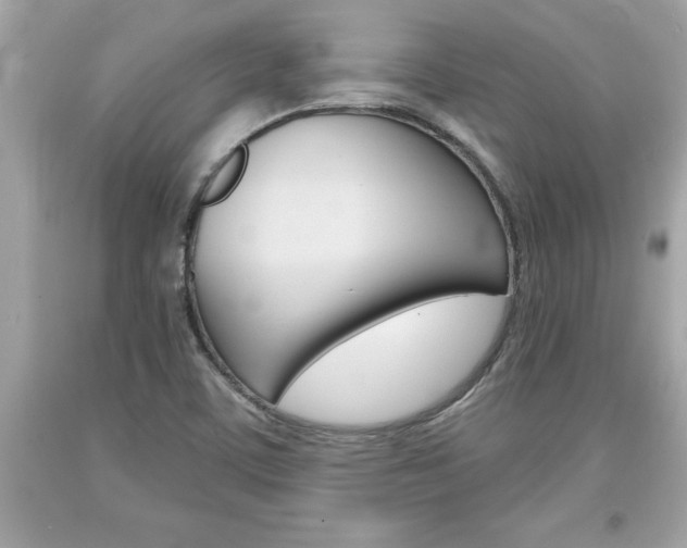 X0000094171459200710260858