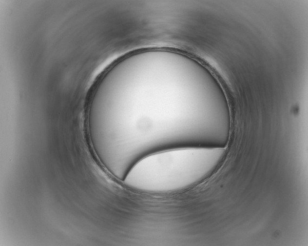 X0000094171460200710260858
