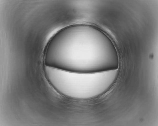 X0000094171463200710260858
