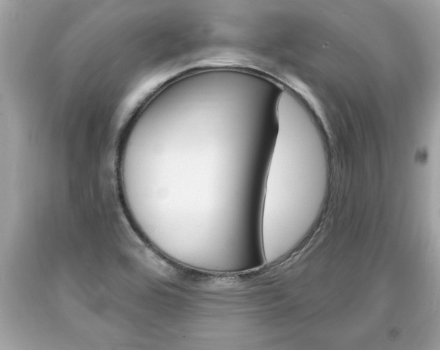 X0000094171464200710260858
