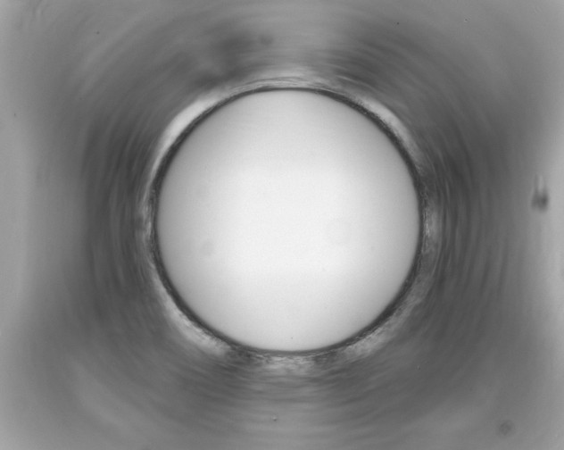 X0000094171466200710260858