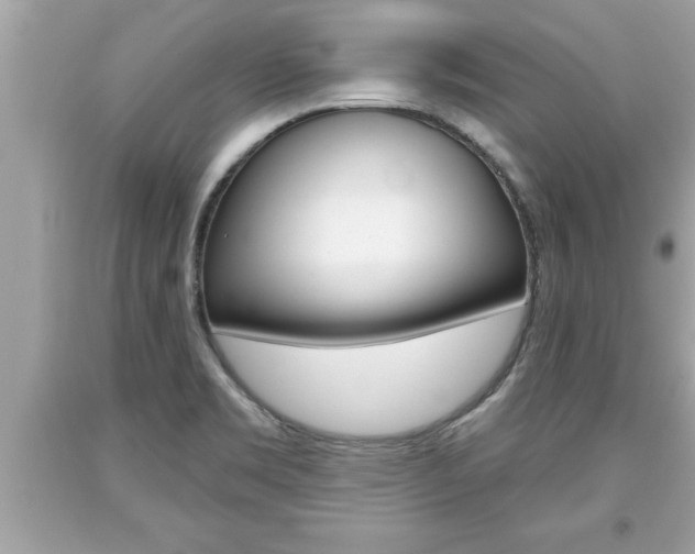 X0000094171469200710260858