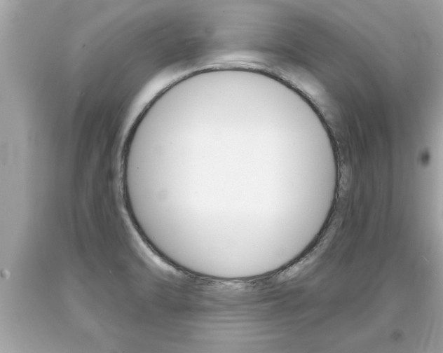 X0000094171470200710260858