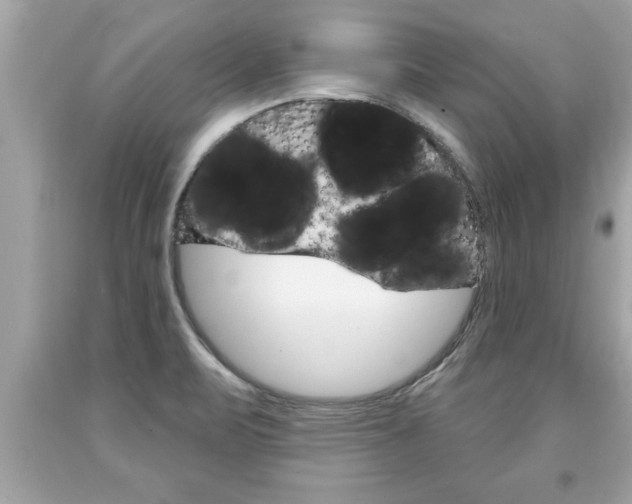 X0000094171471200710260858