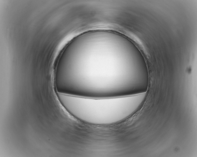 X0000094171472200710260858
