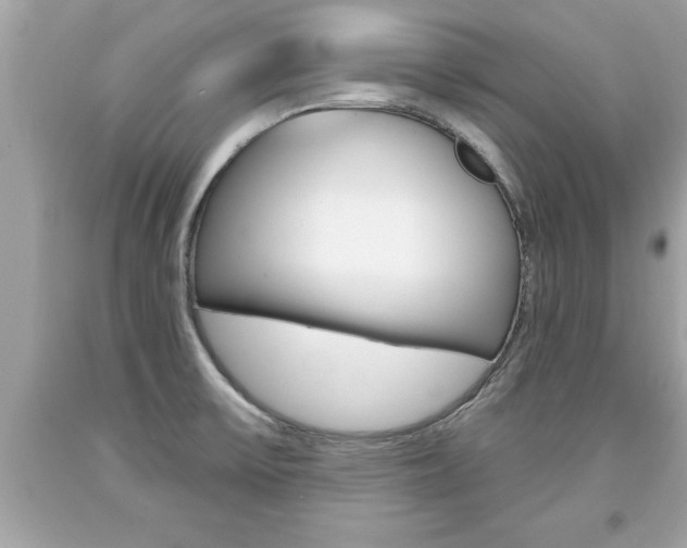 X0000094171475200710260858