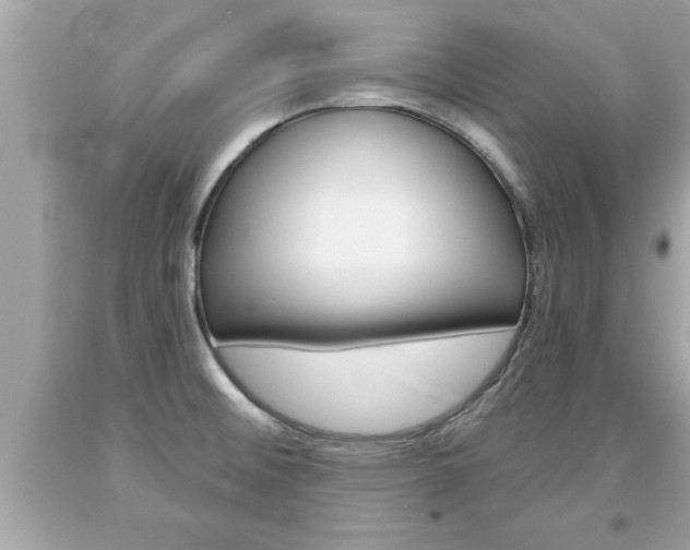 X0000094171476200710260858