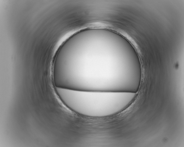 X0000094171477200710260858