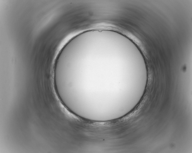 X0000094171478200710260858