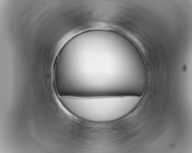 X0000094171479200710260858