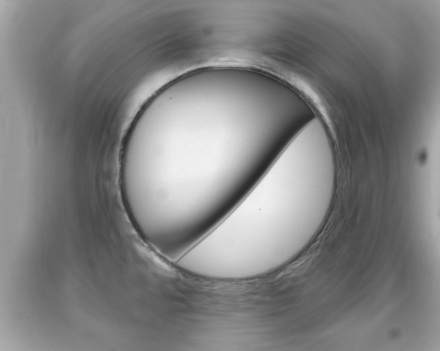 X0000094171480200710260858