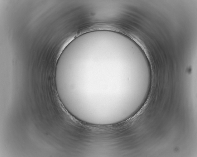 X0000094171481200710260858