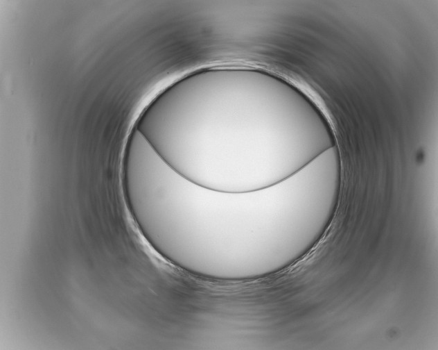 X0000094171485200710260858