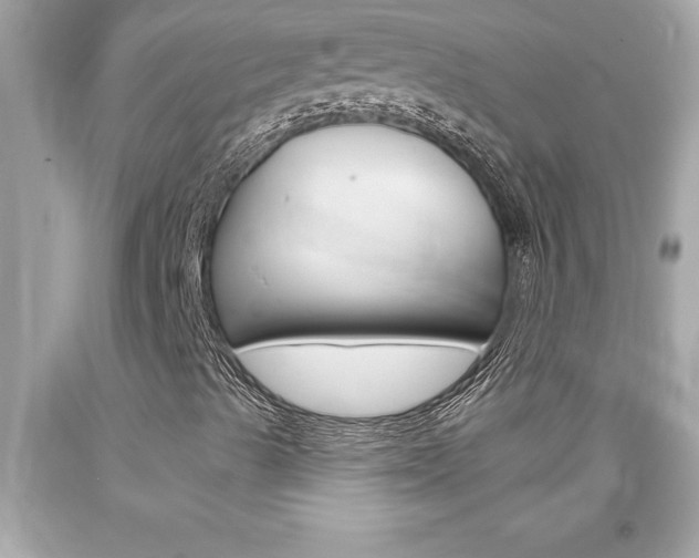 X0000094171489200710260857