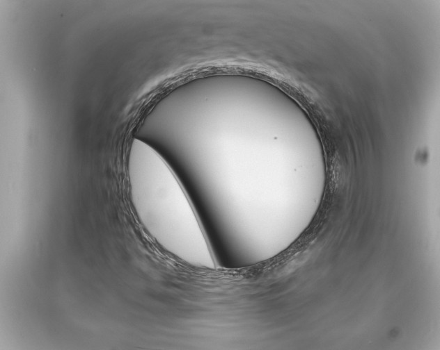 X0000094171494200710260857