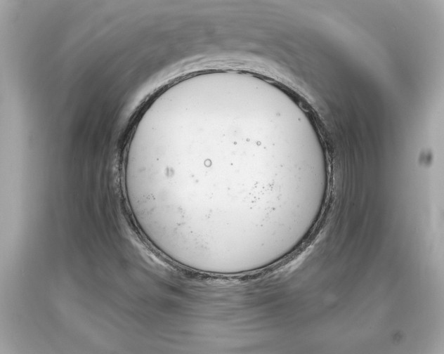 X0000094171498200710260857