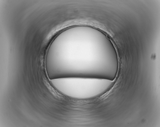 X0000094171499200710260857