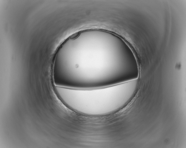 X0000094171500200710260857