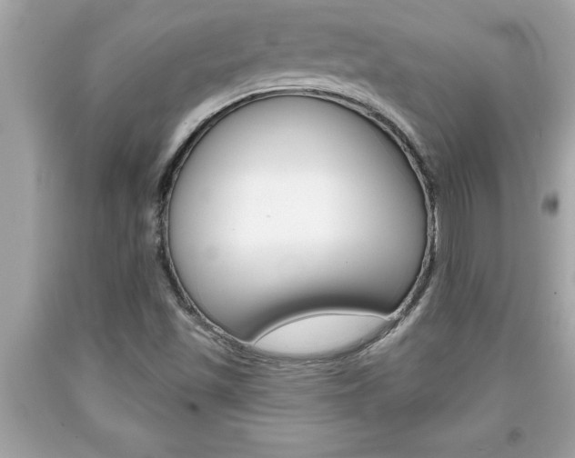 X0000094171501200710260857