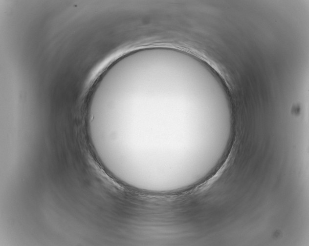 X0000094171502200710260857