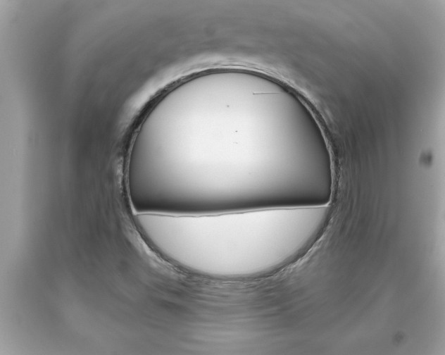 X0000094171503200710260857