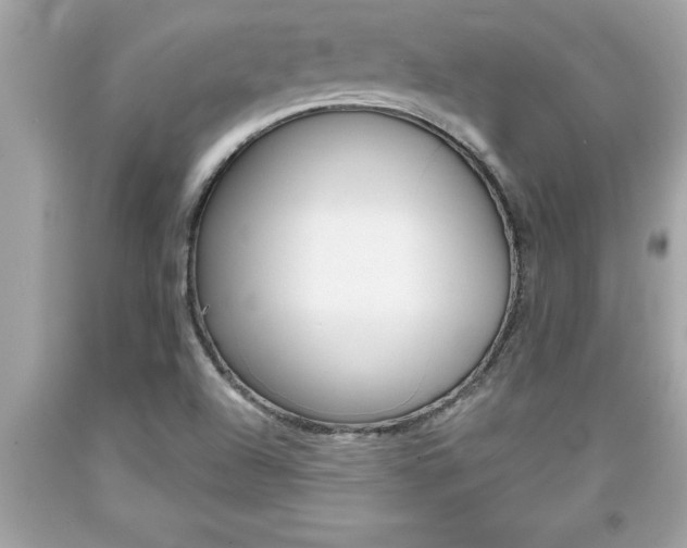 X0000094171504200710260857