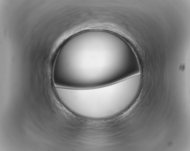 X0000094171506200710260857