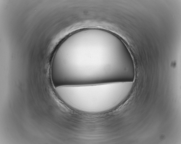 X0000094171507200710260857