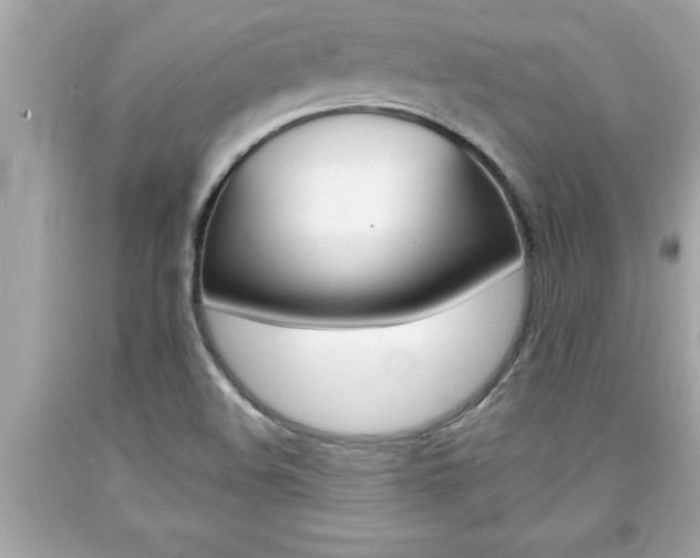 X0000094171508200710260857