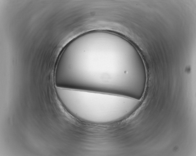 X0000094171513200710260857