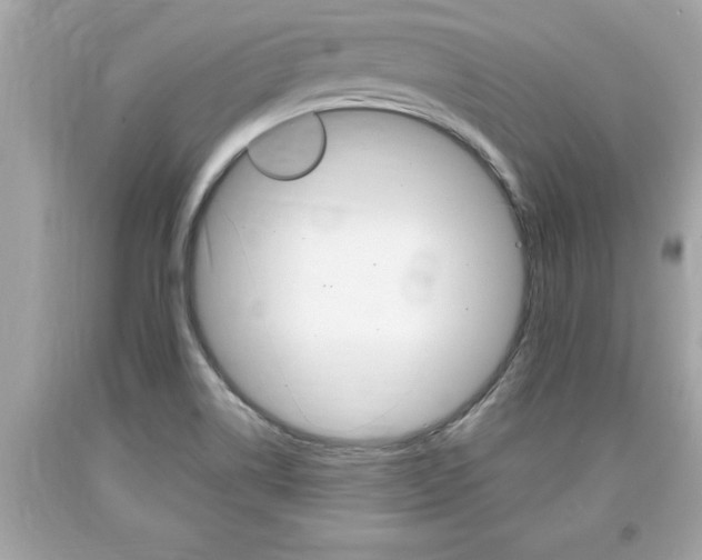 X0000094171514200710260857