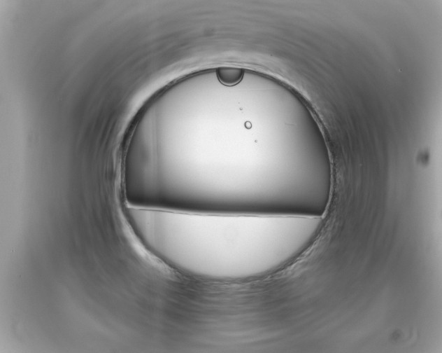 X0000094171515200710260857