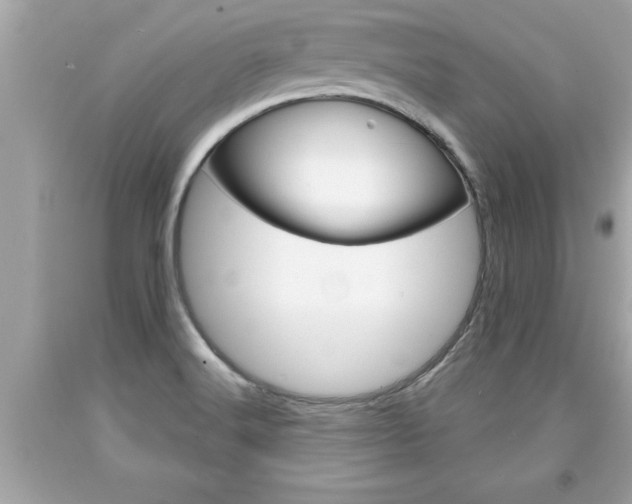 X0000094171516200710260857